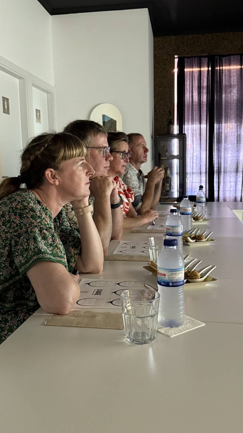 Guests watching an illustrated film at UVAE